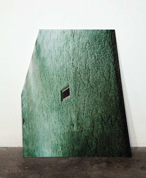 Amy Eckert