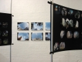 IMG_3993 IMG_3993
