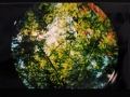 IMG_4015 IMG_4015